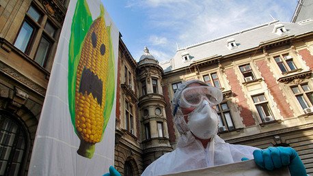 Datos inquietantes sobre los transgénicos