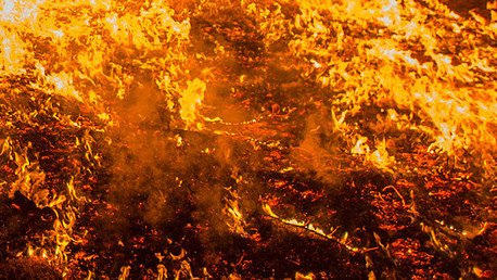 El EI quema pollo estadounidense enviado para paliar el hambre de refugiados sirios