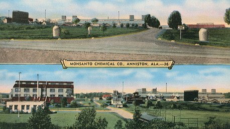 Pruebas fotográficas del espeluznante impacto de Monsanto