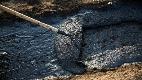 Activistas: "Acuerdo Transpacífico podría llevar a un desastre ambiental"