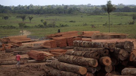 A cuánto asciende la deuda que el ser humano tiene con la naturaleza
