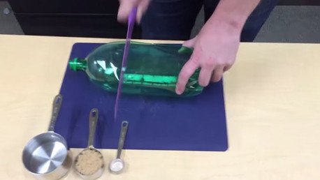 Con este sencillo truco usted mantendrá su casa libre de mosquitos