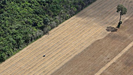 ¿Cómo erradicar la esclavitud? Brasil idea una fórmula insólita