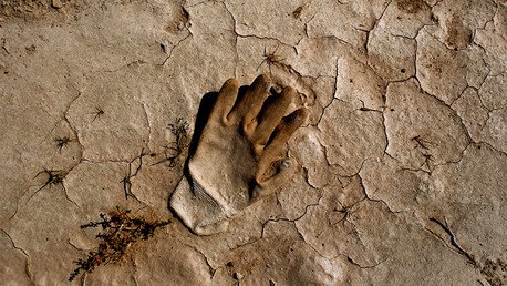 ¿Cuánto costará la extinción de los humanos?