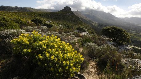 Diez lugares únicos condenados a desaparecer