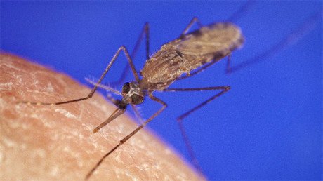 Latinoamérica en alerta: Revelan qué epidemias afectarán a la región