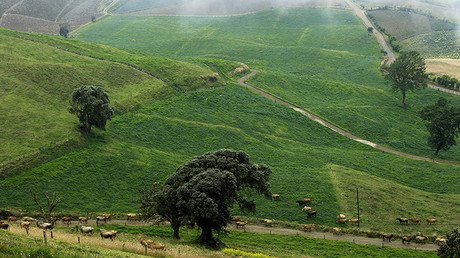 ¿Cómo vive uno de los países más felices de América Latina?