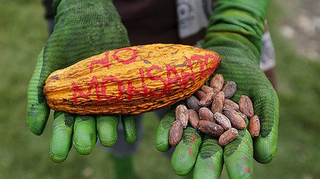 Nueva polémica por el glifosato: culpan a Monsanto de manipular estudios 