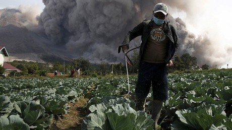 ¿El autismo se causa por lo que comemos? Nuevo estudio sobre fungicidas lo explica