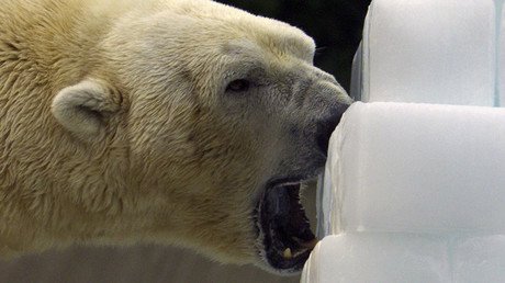 El Ártico podría quedarse sin hielo por primera vez en más de 100.000 años