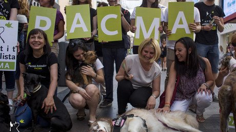 Candidata española a RT: "La violencia es un concepto universal que no diferencia a sus víctimas"