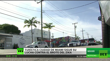 EE.UU.: La turística ciudad de Miami sigue su lucha contra el Zika