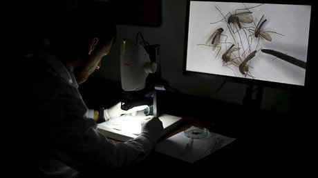 Impulsores genéticos: ¿Un "arma biológica" para destruir especies?