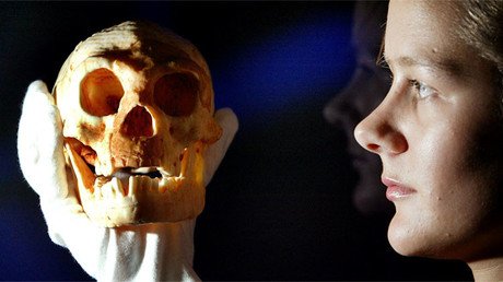 ¿'Hobbicidio'?: los humanos son sospechosos del genocidio de los 'hobbits'