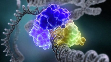 ¿Cómo comenzó la vida en la Tierra? Biólogos aseguran que hay una evolución alternativa