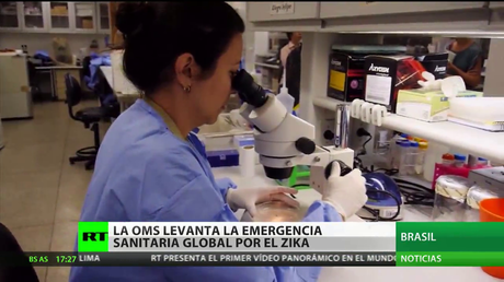 El zika deja de ser una emergencia sanitaria global