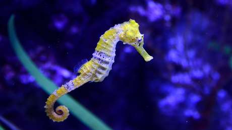 "Quisiera que esta imagen no existiera, pero ya que existe quiero que todo el mundo la vea" (FOTO)