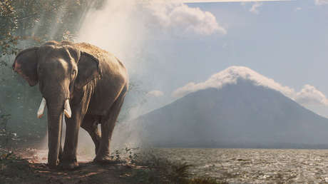 Un candidato electoral promete congelar el lago de Managua y llenar la ciudad de elefantes