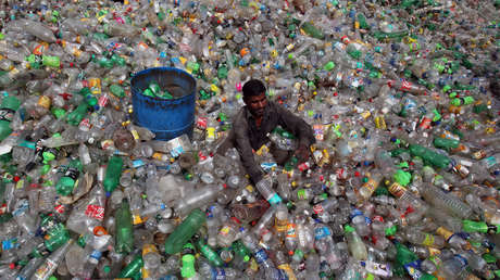 Plaga del siglo XXI: la humanidad ha generado un millón de torres Eiffel de plástico desde 1950