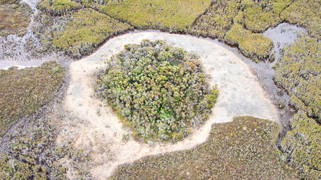 Hallan "la evidencia más antigua de vida en la Tierra"