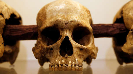 Descubren al culpable de la peste que causó el colapso de la civilización azteca