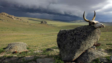El cambio climático puede 'despertar' el ántrax de los cementerios del Ártico y Siberia 