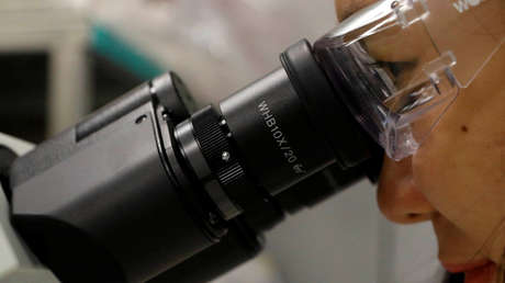 Crean un 'doble caballo de Troya' que engaña a las bacterias para que cometan 'suicidio'