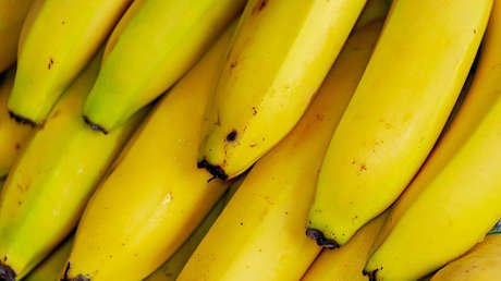 ¿Bananas en peligro?: Una plaga tropical se propaga a través de los cultivos de todo el mundo