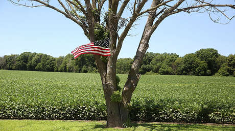 12.000 millones de dólares a los granjeros: EE.UU. paga el precio por la guerra comercial de Trump