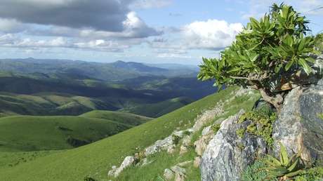 Encuentran las evidencias más antiguas de vida terrestre