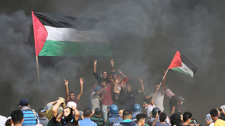 "Un verdadero David contra Goliat": Imagen épica de manifestante palestino se vuelve viral en redes