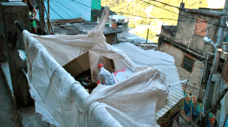 La otra cara de las favelas de Río de Janeiro: Un ejemplo de autogestión y sustentabilidad
