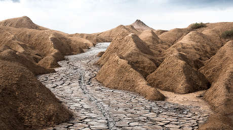 El calentamiento global podría aniquilar gran parte de la vida en el planeta por "efecto dominó"