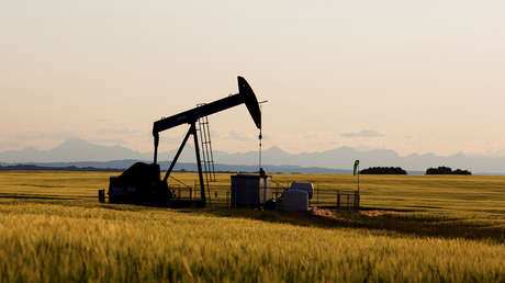 "El mundo no necesita precios de crudo más altos": Trump insta a la OPEP a no reducir la producción