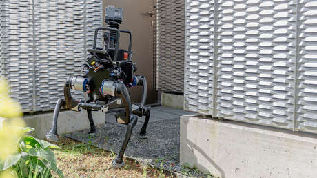 VIDEO: La IA de un robot de cuatro patas lo hace capaz de ponerse de pie si lo derriban