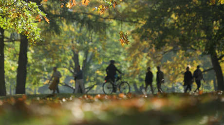A por la longevidad a paso ligero: quienes caminan rápido viven 15-20 años más que los que andan lento