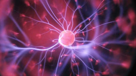 Crean un "caballo de Troya" contra el cáncer que se disfraza de grasa para penetrar en el tumor