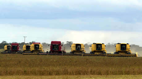 Este país latinoamericano sale beneficiado de la guerra comercial entre EE.UU. y China