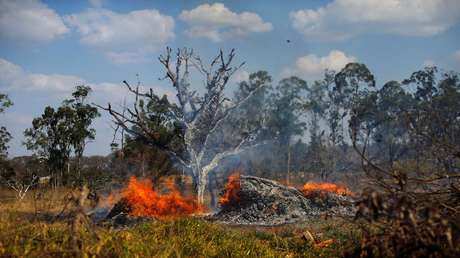 Las imágenes más perturbadoras de los incendios en la Amazonia