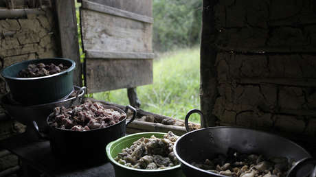 Finlandia insta a la UE a considerar un veto a la carne bovina de Brasil en respuesta a la deforestación