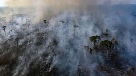 ¿Por qué después de tantos días de incendios aún no se reunieron los países de la Amazonia?