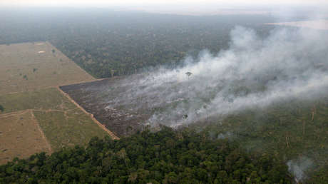 "Algunas políticas de Bolsonaro autorizan el genocidio de los pueblos indígenas"