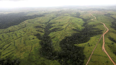 El complejo entramado de intereses en la Amazonia (y por qué es importante atenderlos)
