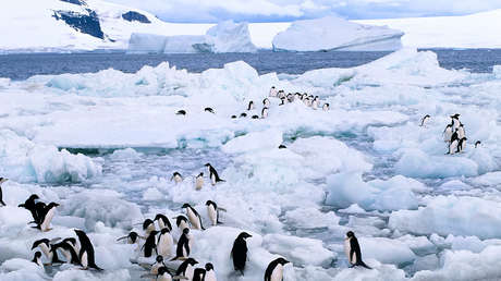El nivel del mar creció ya una vez 3 metros por siglo y puede volver a subir a ese ritmo