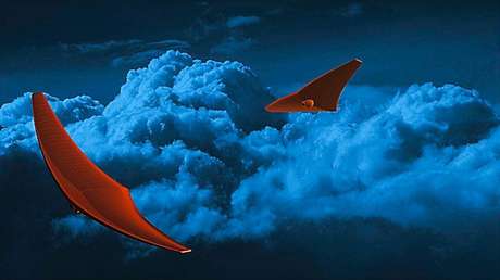 La NASA alienta el desarrollo de una nave para explorar Venus inspirada en las rayas