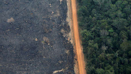 La deforestación en la Amazonía brasileña bate récord desde 2008