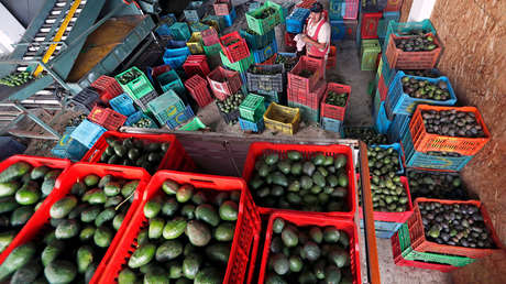 Cómo la Super Bowl aviva la "guerra del aguacate" en México entre narcos y productores