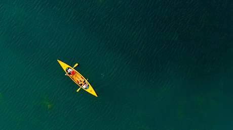 VIDEO: Un gran tiburón blanco nada alrededor de un kayakista cerca de donde se produjo un ataque mortal