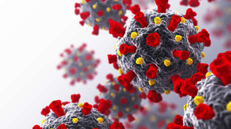 ¿Un 'cómplice' del covid-19?: Encuentran una proteína que ayuda al coronavirus a ingresar a las células cerebrales