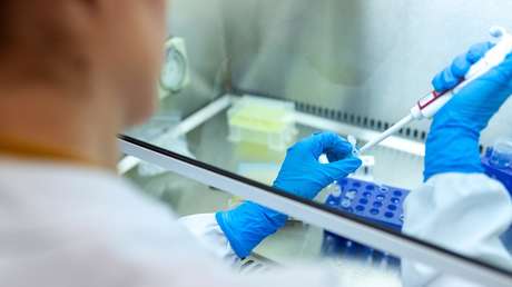 Descubren cuánto duran los anticuerpos contra el coronavirus